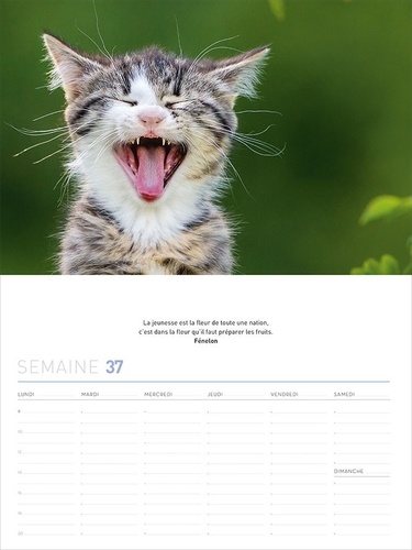 Calendrier 52 Semaines Bebes Animaux Rigolos Collectif Livres Furet Du Nord