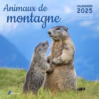  Collectif - Calendrier animaux de montagne 2025.