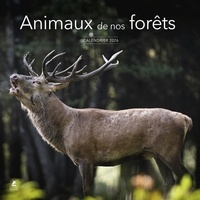  Collectif - Calendrier Animaux de nos Forêts 2026.