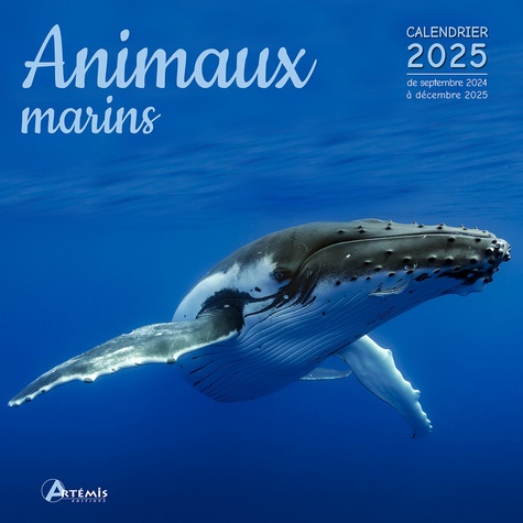 Calendrier animaux marins 2025. 0