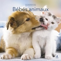  Collectif - Calendrier Bébés Animaux 2026.