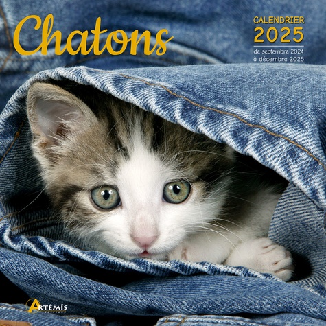 Calendrier Chatons 2025. 0