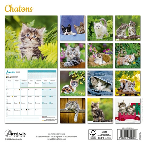 Calendrier Chatons 2025. 0