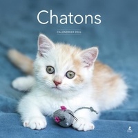  Collectif - Calendrier Chatons 2026.