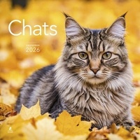  Collectif - Calendrier Chats 2026.