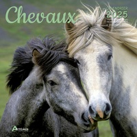  Collectif - Calendrier Chevaux 2025.