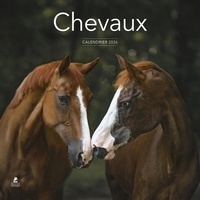  Collectif - Calendrier Chevaux 2026.
