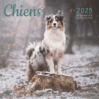  Collectif - Calendrier Chiens 2025.