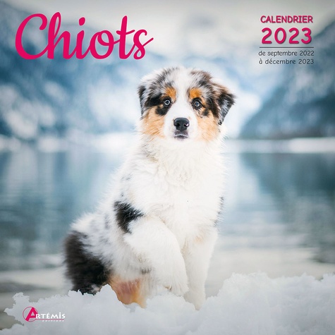 Calendrier Chien 2023 Calendrier Chiots 2023 De Collectif - Livre - Decitre