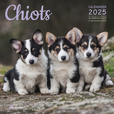 Calendrier Chiots 2025. 0