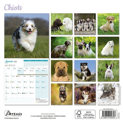 Calendrier Chiots 2025. 0