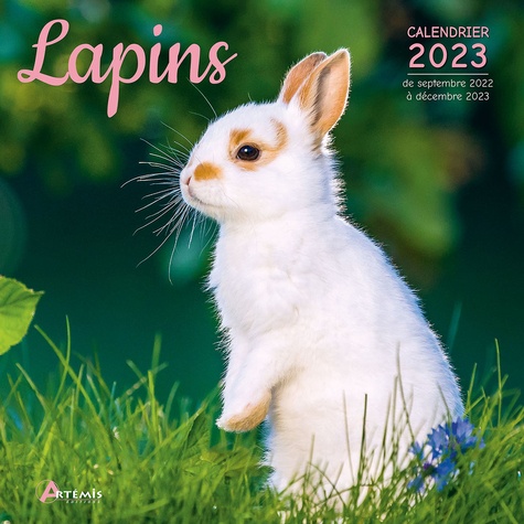 Calendrier Lapins Cretins 2023 Calendrier Lapins 2023 - Collectif - Livres - Furet Du Nord