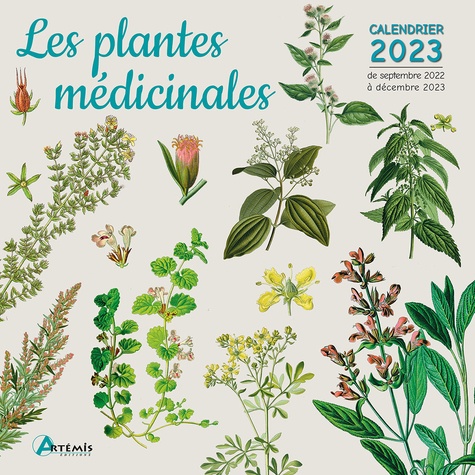 Calendrier 2023 Ces Plantes Qui Soignent Calendrier Les Plantes Médicinales 2023 De Collectif - Livre - Decitre