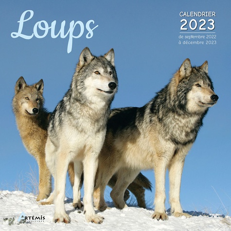 Calendrier 2023 Loup Calendrier Loups 2023 De Collectif - Livre - Decitre