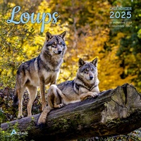  Collectif - Calendrier Loups 2025.