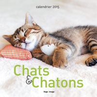  Collectif - Calendrier mural chats & chatons 2015.