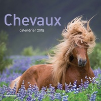  Collectif - Calendrier mural Chevaux 2015.