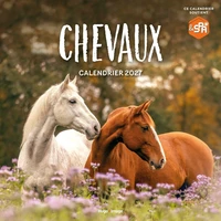 Calendrier mural Chevaux 2027