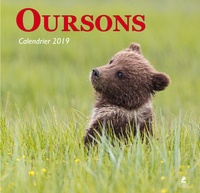  Collectif - Calendrier Oursons.