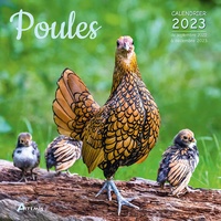  Collectif - Calendrier poules.