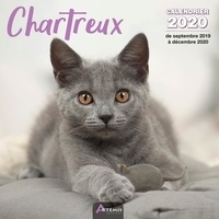  Collectif - Chartreux - Calendrier 2020 - de septembre 2019 à décembre 2020.