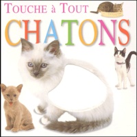  Collectif - Chatons.