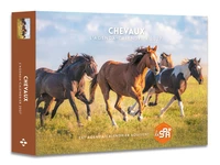 Chevaux - Agenda - Calendrier - Semainier 2027
