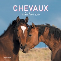  Collectif - Chevaux Calendrier 2016.