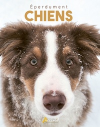  Collectif - Chiens.