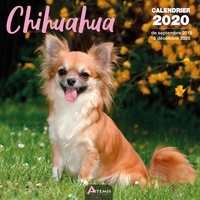  Collectif - Chihuahua - Calendrier 2020 - de septembre 2019 à décembre 2020.