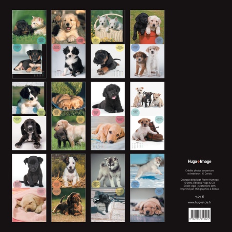 Chiots Calendrier 2016