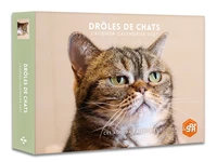 Drôles de chats - Agenda - Calendrier - Semainier 2027