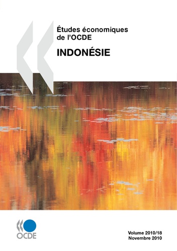  Collectif - Etudes economiques de l'ocde : indonesie 2010.