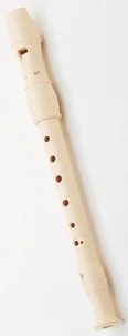 Flûte à bec