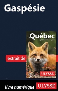 Ebook for vb6 téléchargement gratuit Gaspésie (Litterature Francaise) 9782765871699 ePub CHM PDB par 