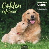  Collectif - Golden retriever - Calendrier 2020 - de septembre 2019 à décembre 2020.