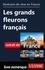 GUIDE DE VOYAGE  Itinéraire de rêve en France - Les grands fleurons français