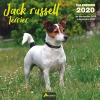  Collectif - Jack russell terrier - Calendrier 2020 - de septembre 2019 à décembre 2020.