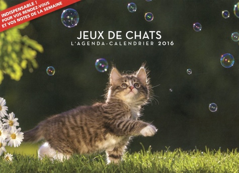 Jeux de chats. L'agenda-calendrier 2016