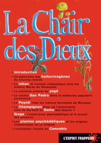 La Chair Des Dieux Coffret 10 Volumes