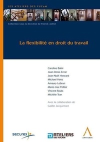  Collectif - LA FLEXIBILITÉ EN DROIT DU TRAVAIL.