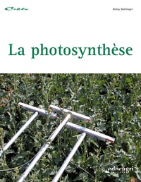 La photosynthèse.pdf