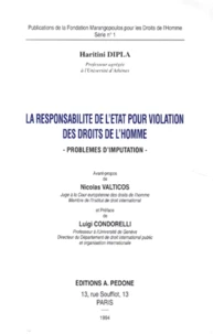 La Responsabilite De L'Etat Pour Violation Des Droits De L'Homme. Problemes D'Imputation