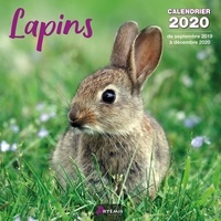  Collectif - Lapins - Calendrier 2020 - de septembre 2019 à décembre 2020.