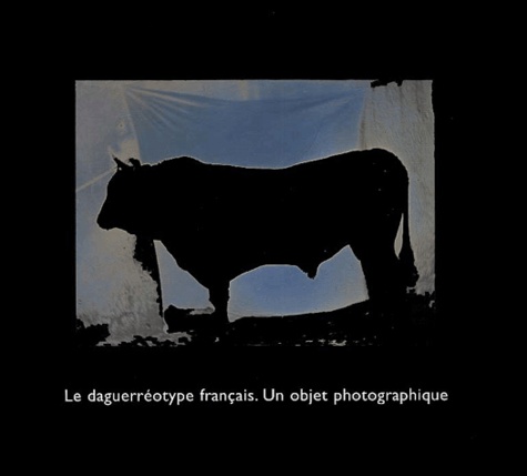  Collectif - Le Daguerreotype Francais. Un Objet Photographique.