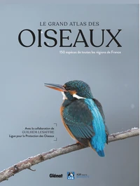Le Grand Atlas des oiseaux 2e édition