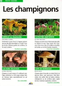 Les Champignons