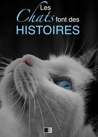 Les chats font des histoires
