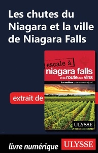  Collectif - Les chutes du Niagara et la ville de Niagara Falls.