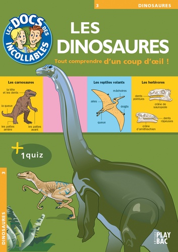 Les Dinosaures. Tout comprendre d'un coup d'oeil !